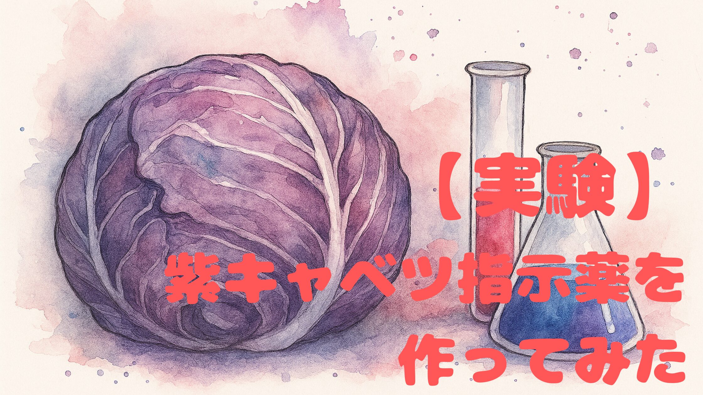 紫キャベツ実験、アイキャッチ