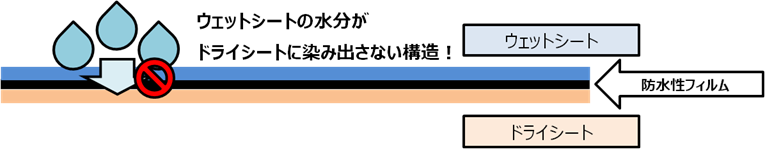 構造イメージ図