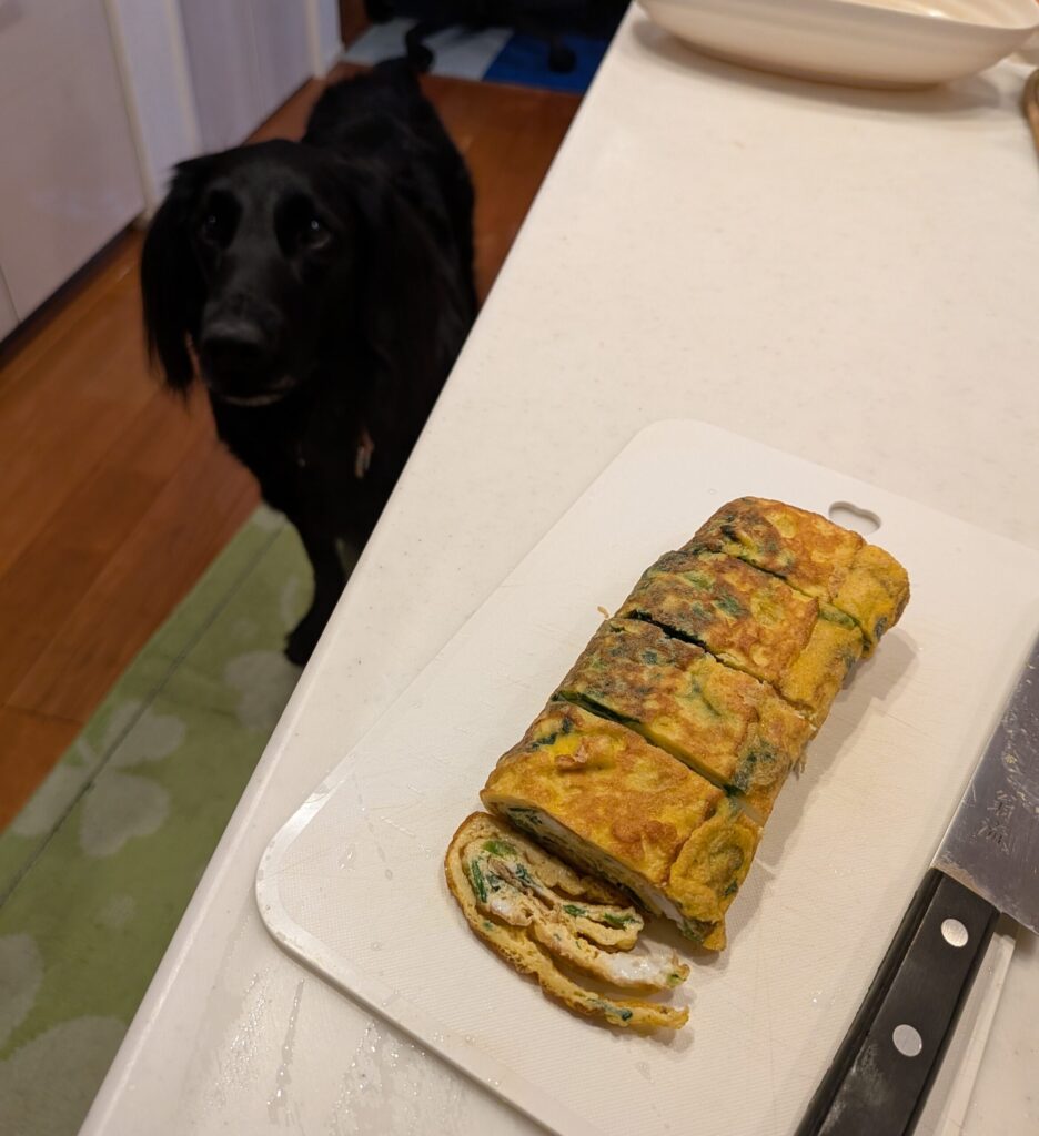 卵焼きにして愛犬と美味しくいただきました