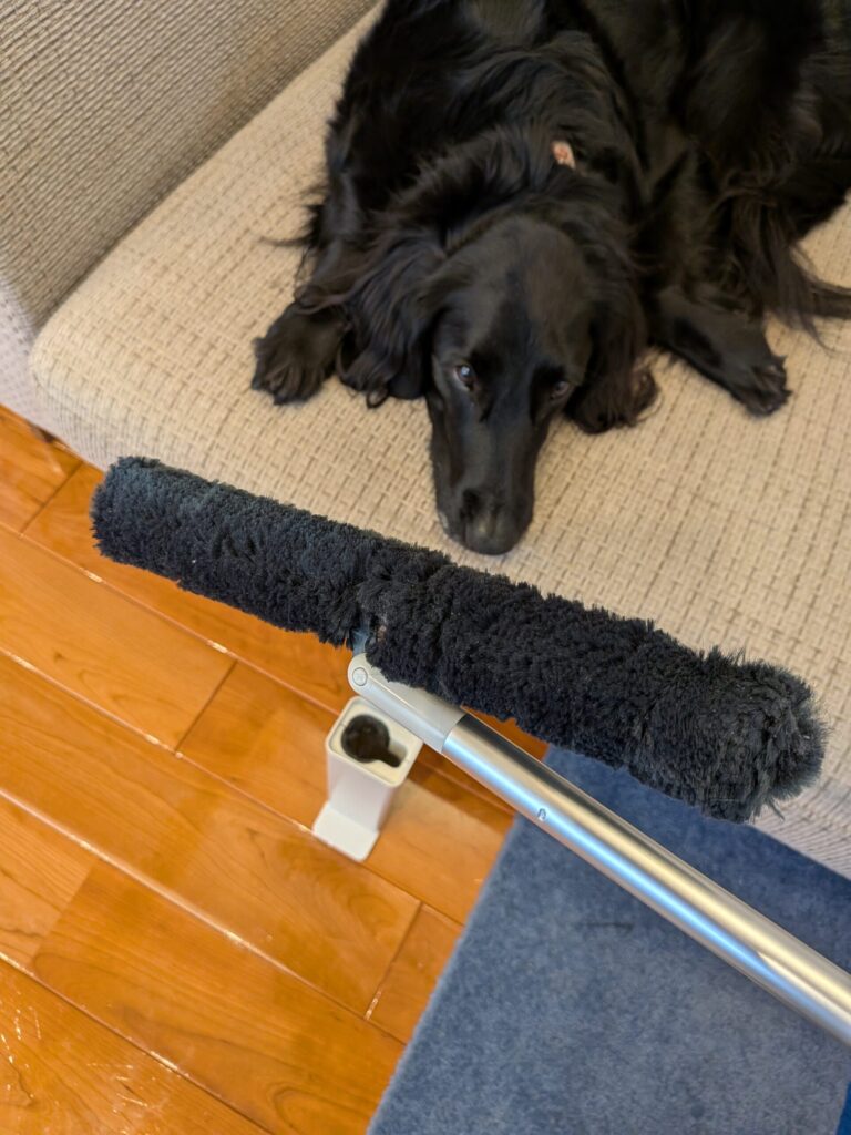 モップクリーニング