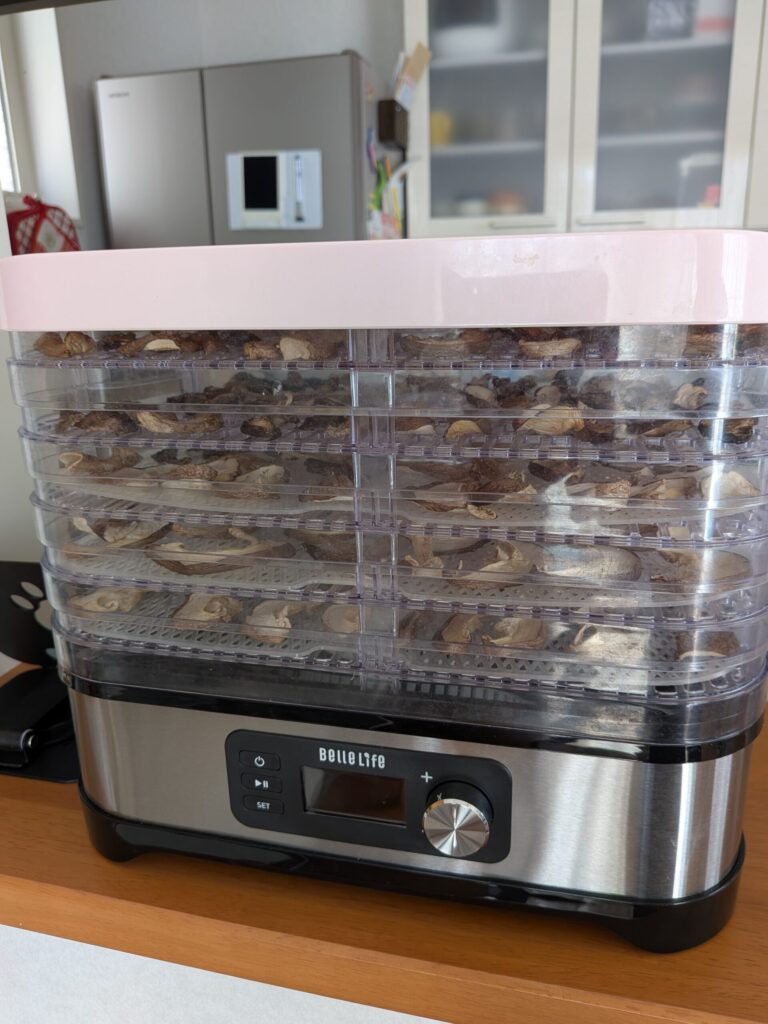 乾燥が不十分だったので追加乾燥