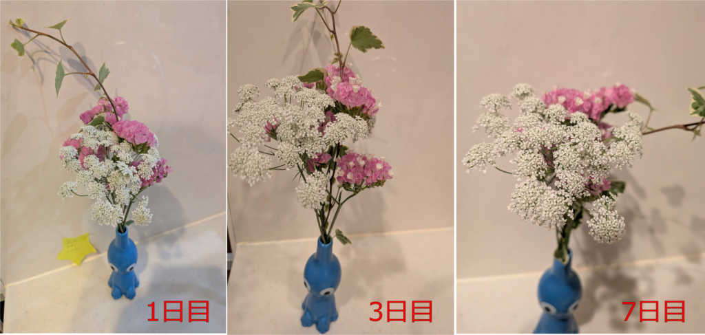 お花の品質経過
