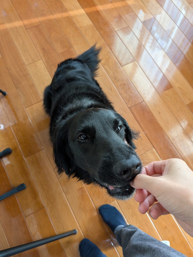 おからクッキー実食
